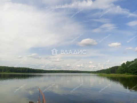 dom-kottedzhnyy-poselok-druzhba-gorodeckiy-rayon фото