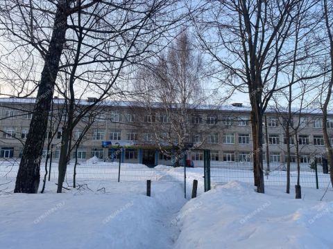 dom-selo-doskino-bogorodskiy-municipalnyy-okrug фото