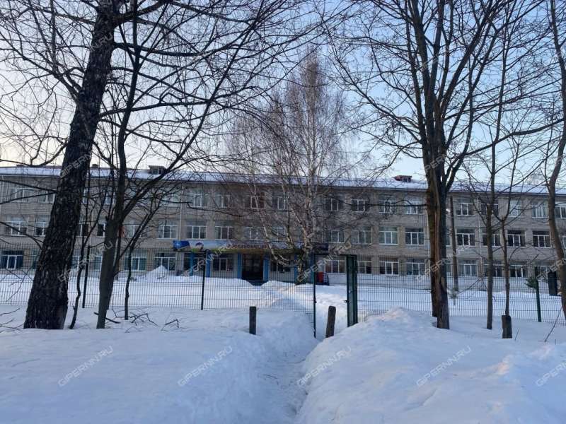 дом на Вишнёвой улице село Доскино