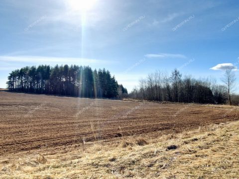 derevnya-novolikeevo-kstovskiy-rayon фото