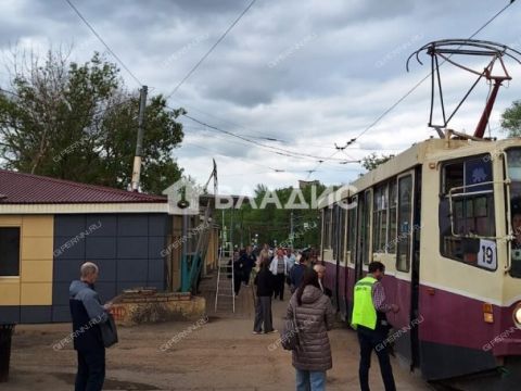 ul-guzhevaya-d-50 фото