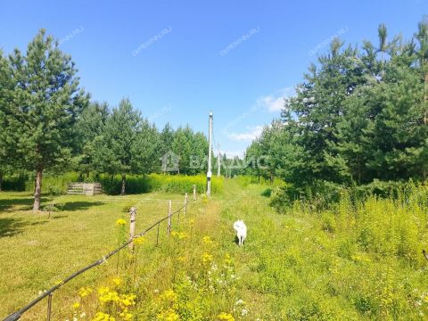 derevnya-inyutino-bogorodskiy-municipalnyy-okrug фото