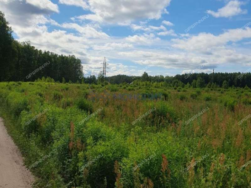 земельный участок под сельхоз назначение в городском округе Бор Нижегородской области