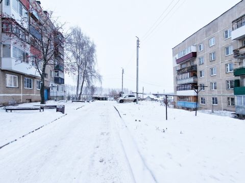 2-komnatnaya-derevnya-podlesovo-kstovskiy-rayon фото