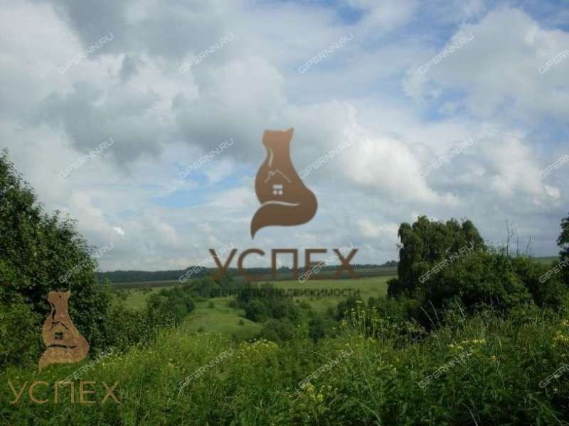 земельный участок 54 сотки Колхозная улица деревня Чанниково