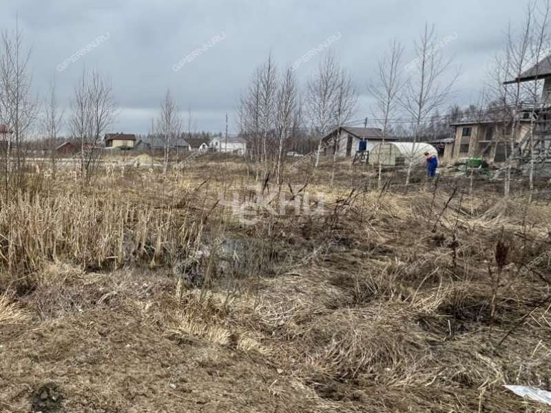 земельный участок 10 соток Андрианова ДНП Возрождение