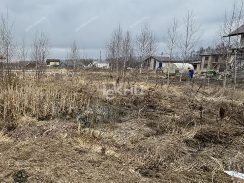 dnp-vozrozhdenie-gorodskoy-okrug-bor фото