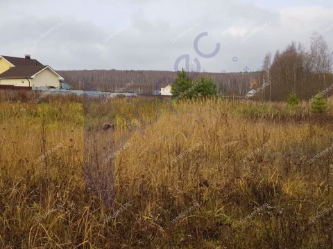 derevnya-novaya-vladimirovka-dalnekonstantinovskiy-rayon фото