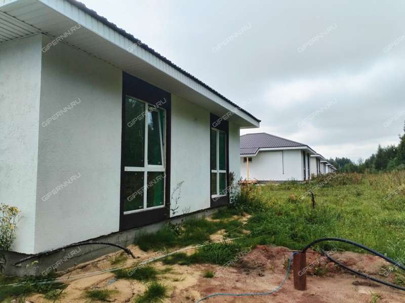 дом на Героя Демина ул. деревня Пруды