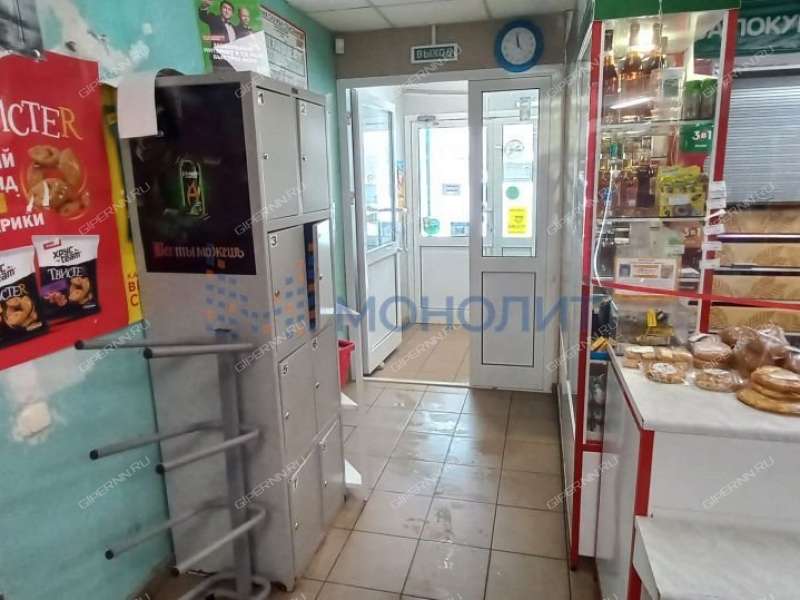 помещение под торговую площадь, недвижимость под общепит на улице Аллея Ильича город Павлово