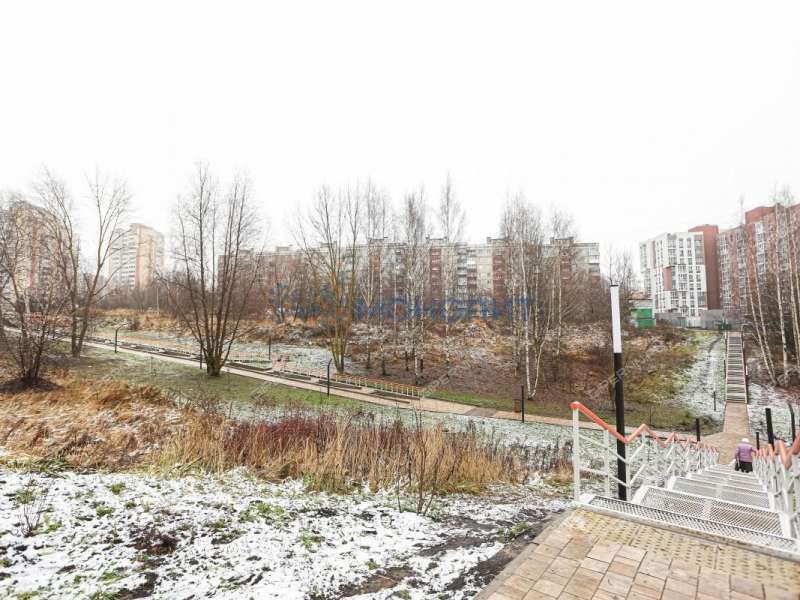 двухкомнатная квартира на улице Германа Лопатина дом 8