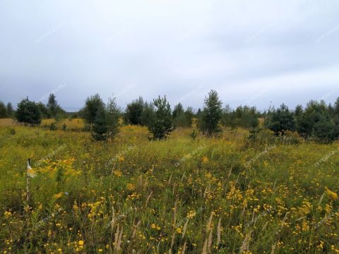 derevnya-kileley-bogorodskiy-municipalnyy-okrug фото