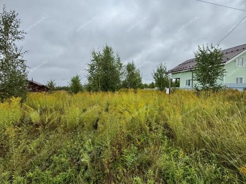 derevnya-mihalchikovo-kstovskiy-rayon фото