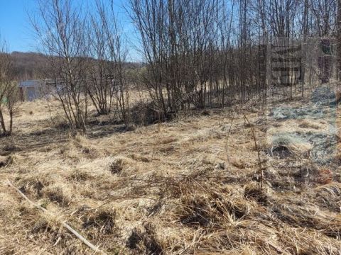 derevnya-shumilovo-bogorodskiy-municipalnyy-okrug фото