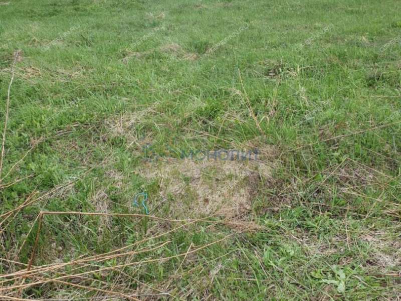 земельный участок 9,01 сотки - село Останкино