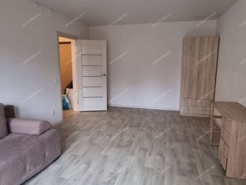 однокомнатная квартира на улице Дружаева дом 1б