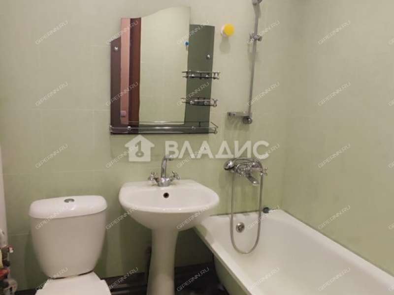 однокомнатная квартира на улице Германа Лопатина дом 2 к1