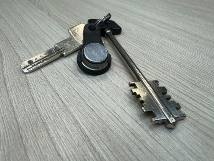 Истории разоблачения квартирных мошенников рассказали в Нижнем Новгороде