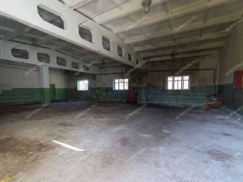 rabochiy-poselok-arya-urenskiy-municipalnyy-okrug фото