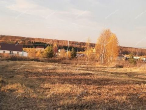 derevnya-panteleevo-bogorodskiy-municipalnyy-okrug фото