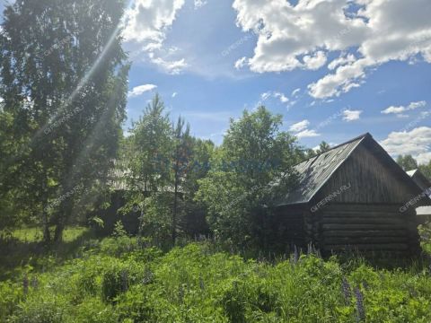 dom-selo-ilino-zaborskoe-semenovskiy-gorodskoy-okrug фото