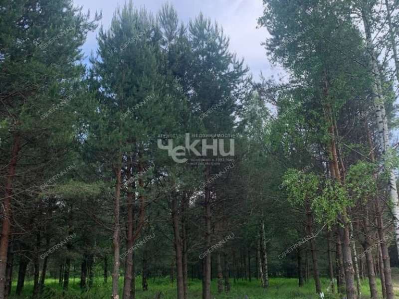 земельный участок 8 соток деревня Ивановское