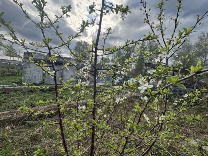 земельный участок 8 соток -