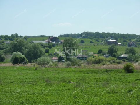 selo-afanasevo-bogorodskiy-municipalnyy-okrug фото