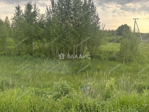 sherstnevo-gorodskoy-okrug-bor фото