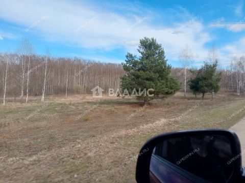 derevnya-inyutino-bogorodskiy-municipalnyy-okrug фото