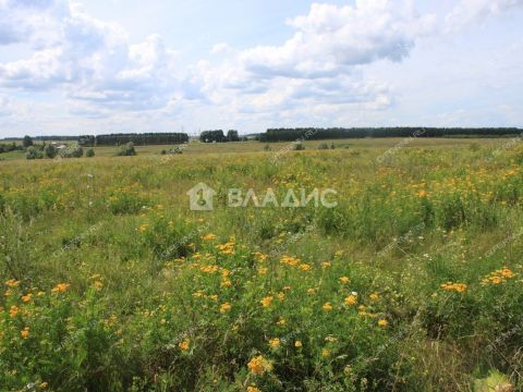 selo-diveevo-diveevskiy-municipalnyy-okrug фото