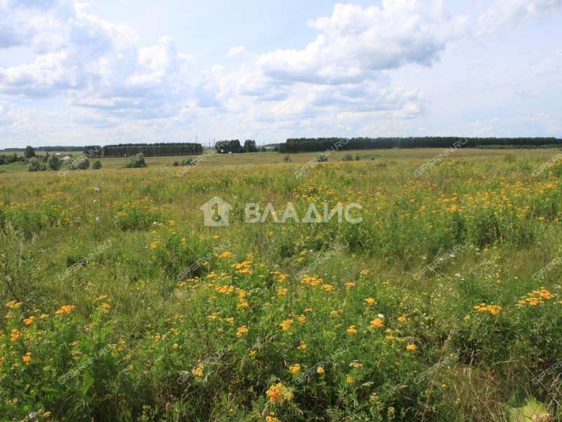 земельный участок 8 соток улица Некрасова село Дивеево