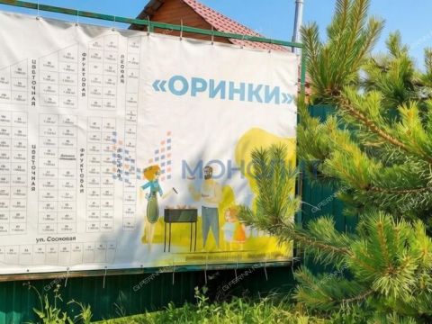 derevnya-orinkino-bogorodskiy-municipalnyy-okrug фото