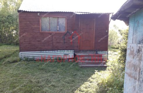 Снт ягодное богородский. Ягодное Богородский район. СНТ 12 Ягодное Нижегородская область. Дача СНТ 12 Ягодное. СНТ Ягодное Богородского р-на.